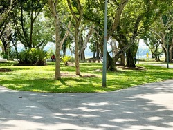 The Clearwater (D16), Condominium #579172011